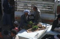 Yemen_1993_216_04-03-2016